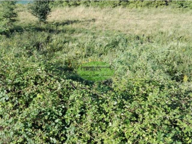 Terreno en venta en O Carballiño, Galicia