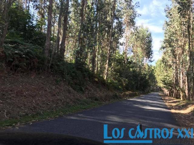 Terreno en venta en Maside, Negrelle