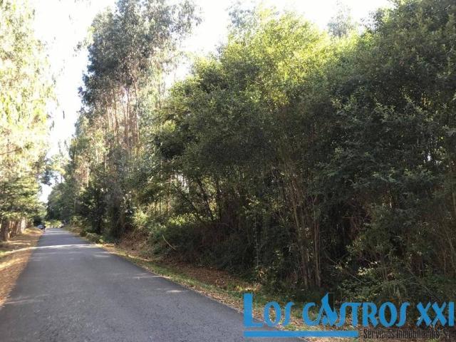 Terreno en venta en Maside, O Carballiño