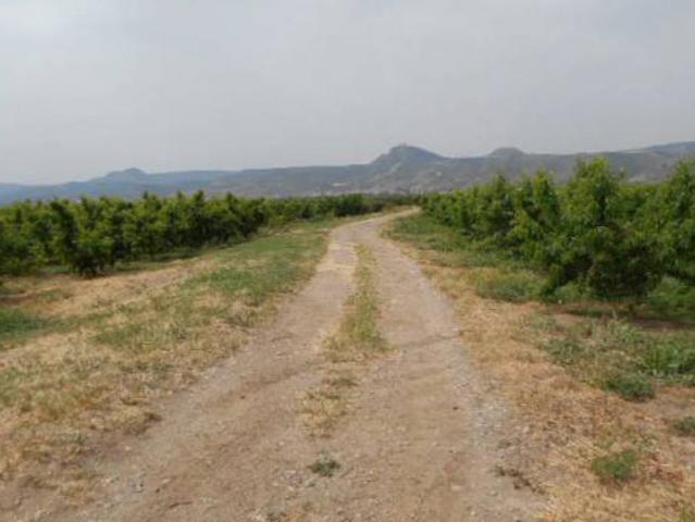 Terreno en venta en Massalcoreig, Lleida