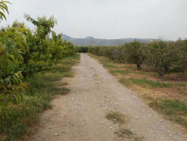 Terreno en venta en Massalcoreig, Lleida