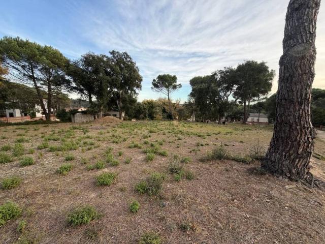 Terreno en venta en la Selva, Catalunya
