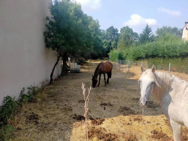 Terreno en venta en Matabuena, Castilla y León