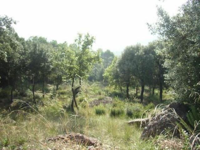 Terreno en venta en les Pedritxes, Vallès Occidental