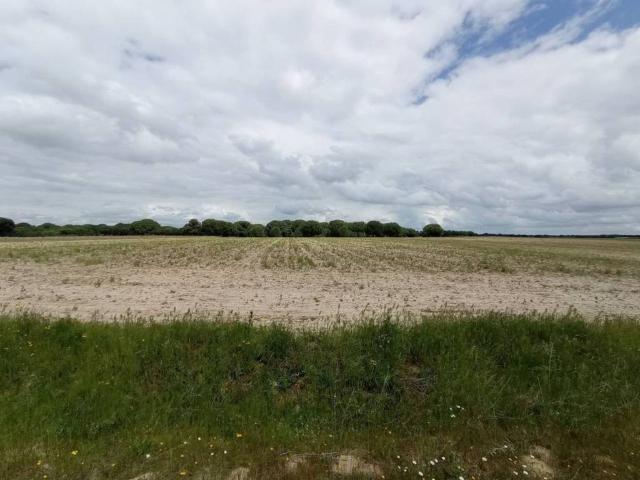 Terreno en venta en Matapozuelos, Castilla y León