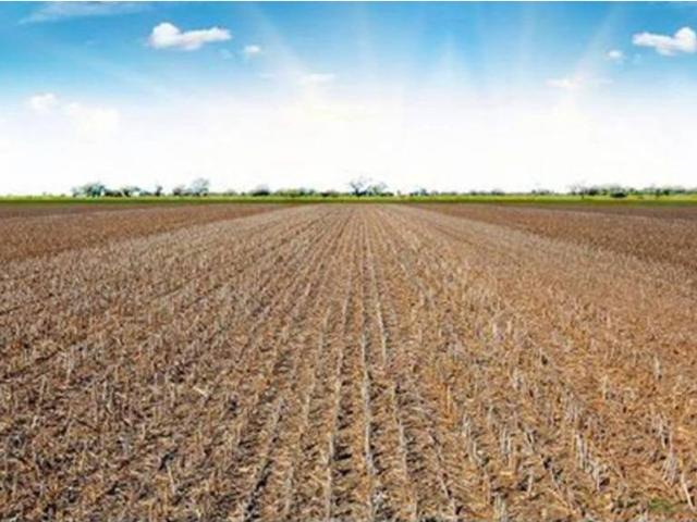 Terreno en venta en Matilla La Seca, Castilla y León