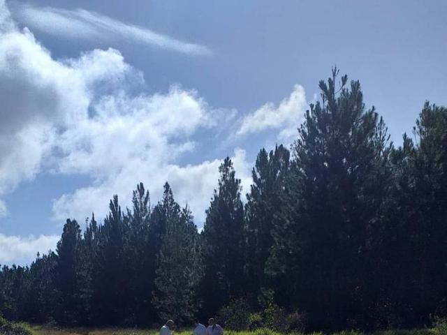 Terreno en venta en Morichal, Monagas