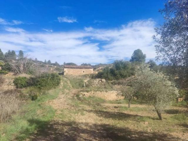 Terreno en venta en Matarraña / Matarranya, Mazaleón