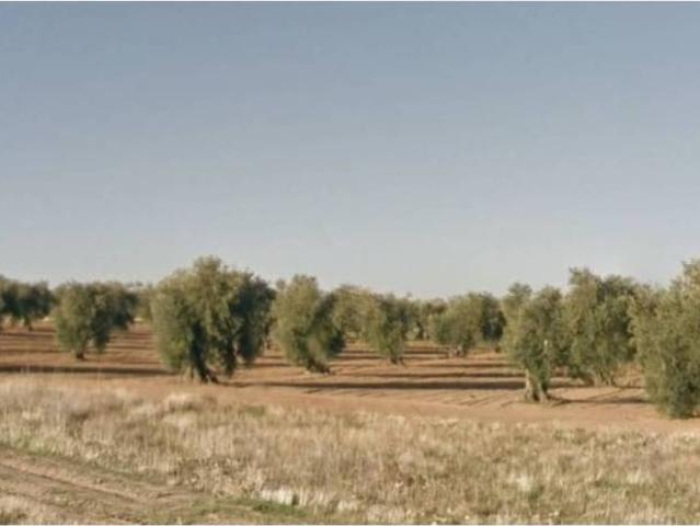 Terreno en venta en Mazarambroz