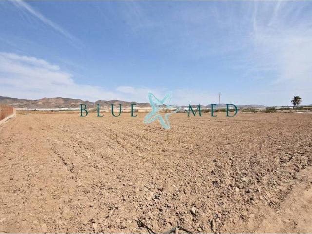 Terreno en venta en Balsicas, Bajo Guadalentín
