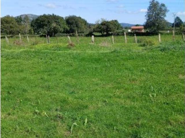 Terreno en venta en Mazcuerras
