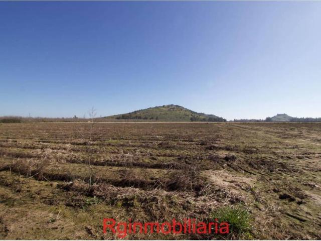 Terreno en venta en Medellín, Extremadura