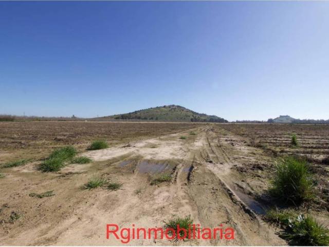 Terreno en venta en Medellín, Extremadura