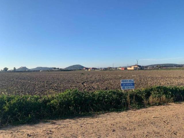 Terreno en venta en Medellín, Extremadura