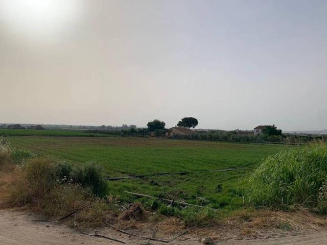 Terreno en venta en Medellín, Extremadura