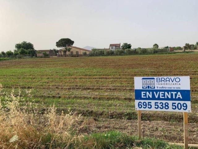 Terreno en venta en Medellín, Extremadura