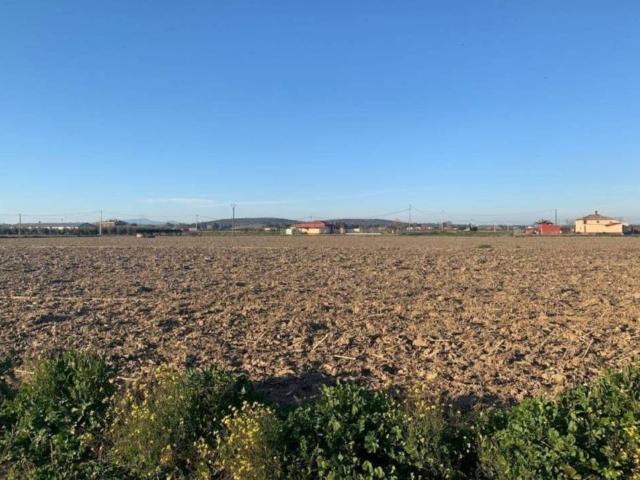 Terreno en venta en Medellín, Extremadura