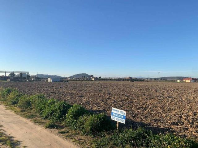 Terreno en venta en Medellín, Extremadura