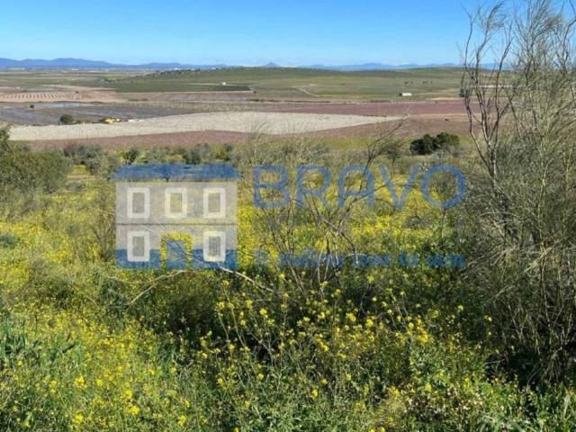 Terreno en venta en Medellín, Extremadura