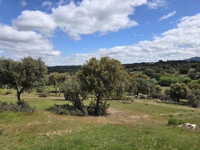 Terreno en venta en Mediana De Voltoya, Castilla y León