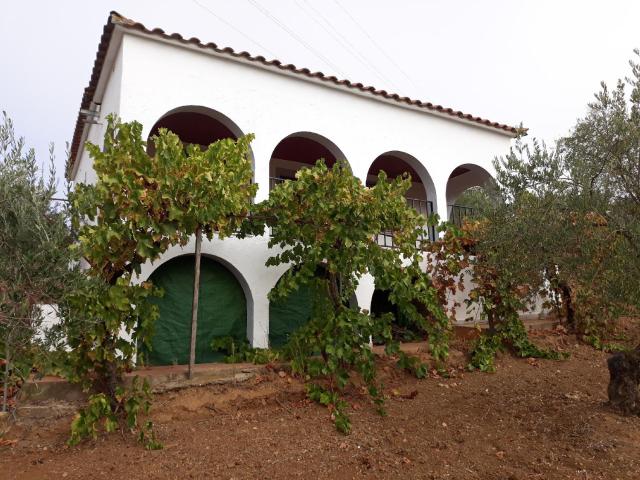 Terreno en venta en Medina De Las Torres