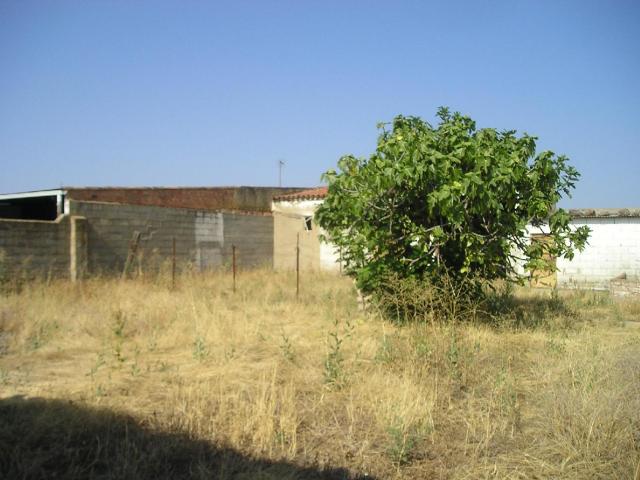 Terreno en venta en Medina De Las Torres
