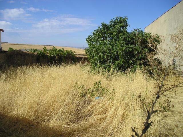 Terreno en venta en Medina De Las Torres Terreno en venta en Medina De Las Torres