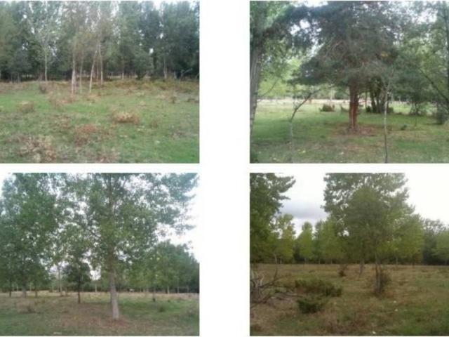 Terreno en venta en Medina De Pomar, Castilla y León