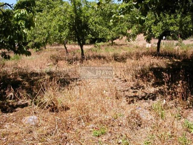 Terreno en venta en Medina De Pomar, Castilla y León