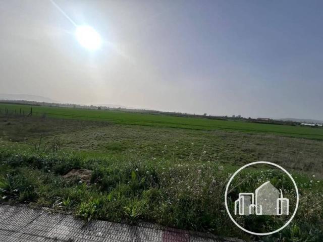Terreno en venta en Medina De Pomar, Castilla y León