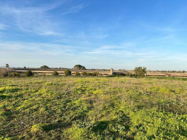 Local Comercial en venta en Benacazón