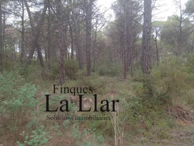 Terreno en venta en Alt Penedès, Catalunya