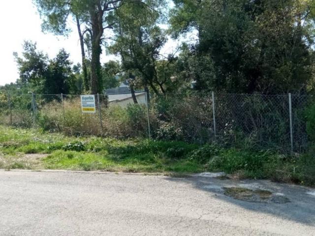 Terreno en venta en Alt Penedès, Catalunya