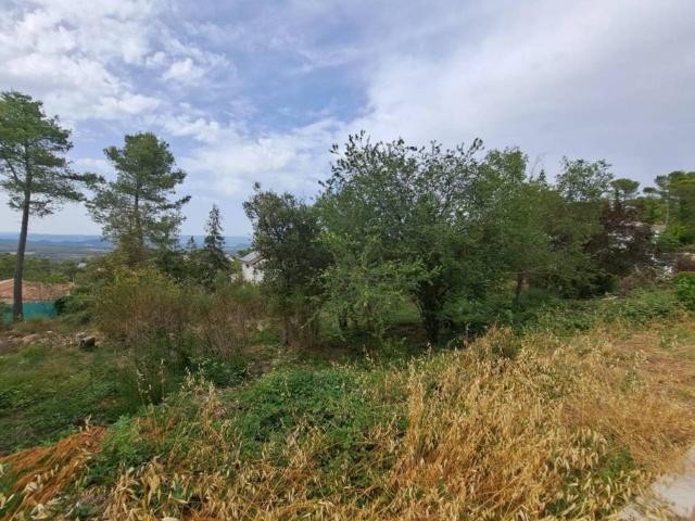 Terreno en venta en Alt Penedès, Catalunya