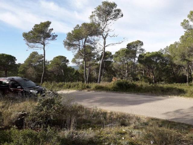 Terreno en venta en Alt Penedès, Catalunya