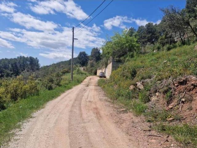 Terreno en venta en Alt Penedès, Catalunya