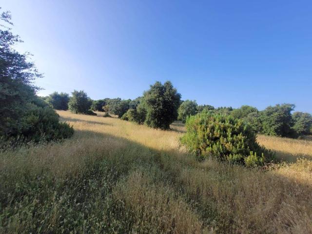 Terreno en venta en Mejorada, Castilla-La Mancha