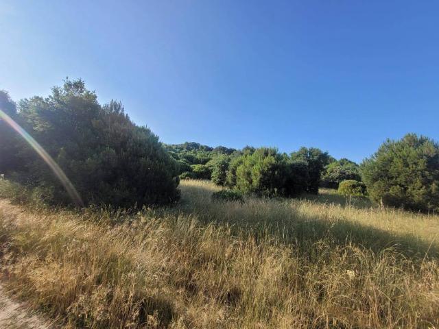 Terreno en venta en Mejorada, Castilla-La Mancha