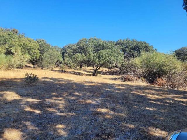 Terreno en venta en Mejorada