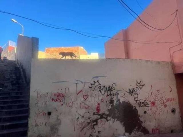 Terreno en venta en Melilla