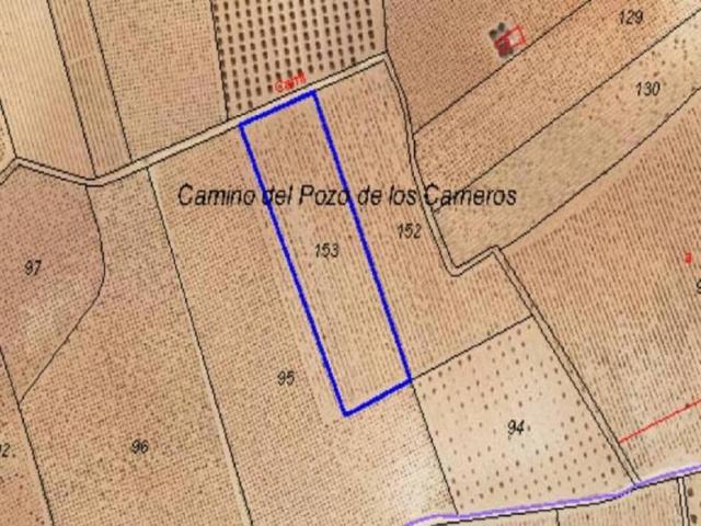 Terreno en venta en Membrilla, Castilla-La Mancha