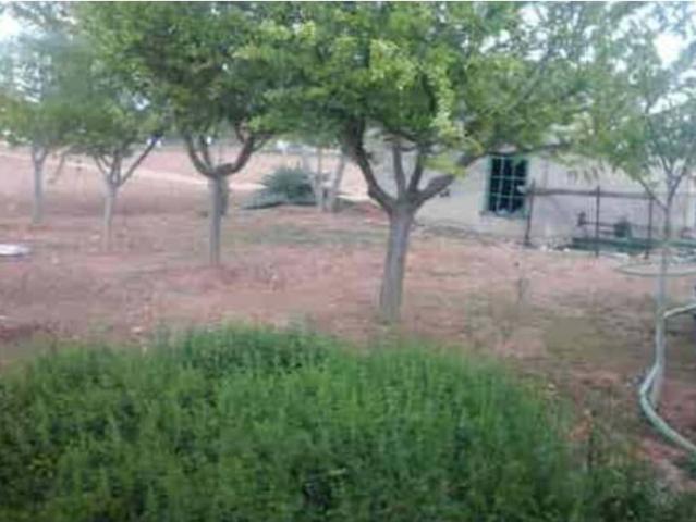 Terreno en venta en Membrilla, Castilla-La Mancha