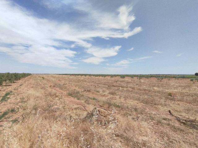 Terreno en venta en Membrilla, Castilla-La Mancha