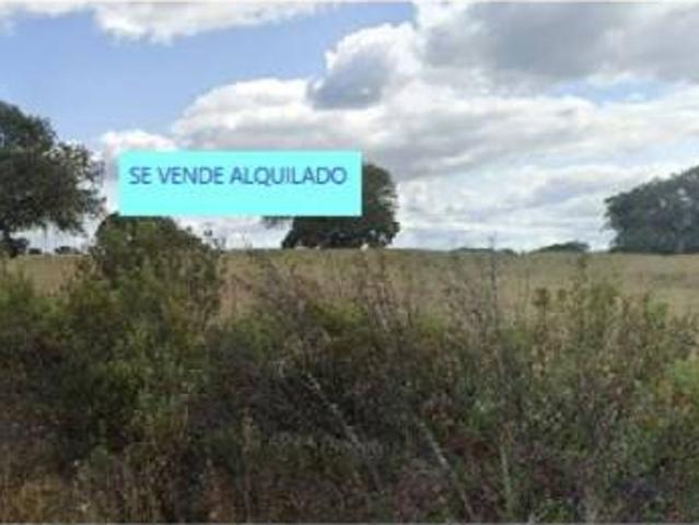 Terreno en venta en Membrío, Extremadura