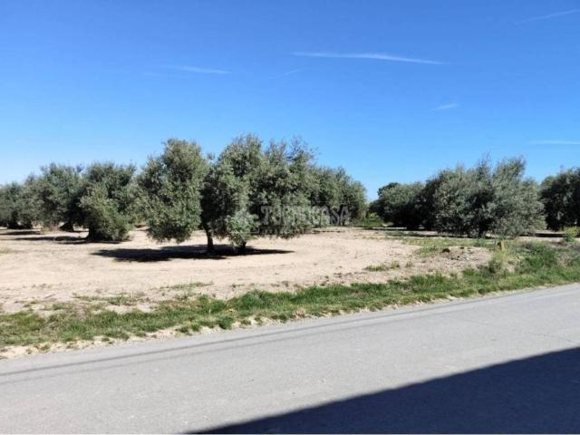 Terreno en venta en Mengíbar, Andalucía