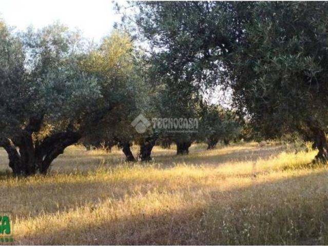 Terreno en venta en Méntrida, Castilla-La Mancha