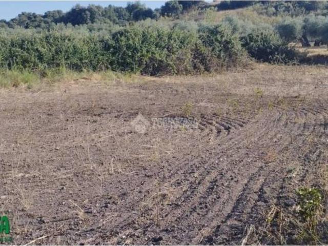 Terreno en venta en Méntrida, Castilla-La Mancha