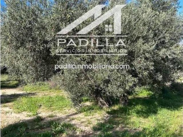 Terreno en venta en Méntrida, Castilla-La Mancha