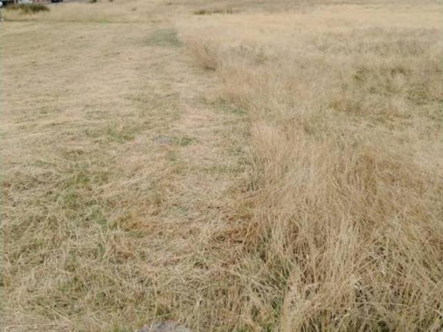 Terreno en venta en Mérida, Extremadura