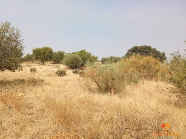 Terreno en venta en Mérida, Extremadura